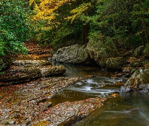 Rzeka, Skały, Jesień, Las, Drzewa, Kamienie