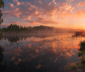 Jezioro, Drzewa, Odbicie, Wschód słońca, Chmury, Mgła