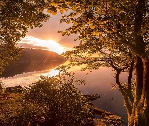 Jesień, Wschód słońca, Jezioro, Drzewa