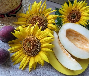 Słoneczniki, Kapelusz, Śliwki, Melon, Kwiaty