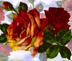 Grafika, Kolorowe tło, Rozwinięta, Róża, Róże