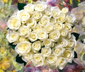 Kwiaty, Grafika, Białe, Bukiet, Róże