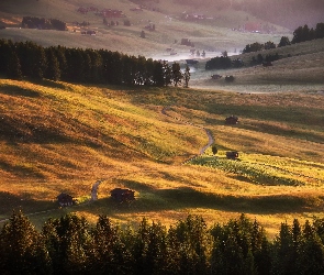 Włochy, Mgła, Dolina, Region Trydent-Górna Adyga, Pola, Wzgórza, Drzewa, Droga, Płaskowyż Seiser Alm, Domy