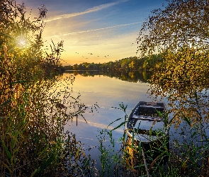 Krzewy, Drzewa, Ptaki, Trawa, Wschód słońca, Jezioro, Łódka