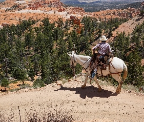 Stany Zjednoczone, Stan Utah, Kowboj, Koń, Kanion, Park Narodowy Bryce Canyon