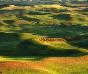 Stan Waszyngton, Region Palouse, Domy, Stany Zjednoczone, Steptoe Butte State Park, Drzewa, Pola