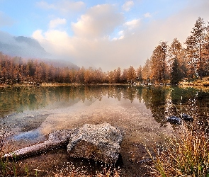 Las, Drzewa, Włochy, Dolina Vall di Fassa, Kamienie, Jezioro Lago di San Pellegrino, Góry Dolomity, Trydent-Górna Adyga, Chmury, Mgła, Szuwary