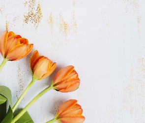 Drewno, Tulipany, Kwiaty, Pomarańczowe