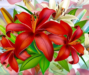 Kwiaty, Grafika 2D, Białe, Lilie, Czerwone