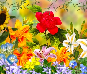 Kwiaty, Grafika, Słonecznik, Lilie