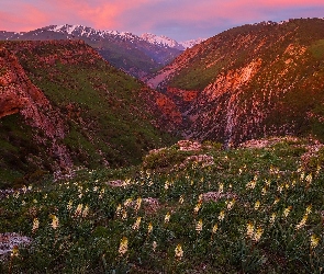 Kazachstan, Zachód słońca, Kanion rzeki Aksu, Góry, Rezerwat przyrody Aksu-Zhabagly