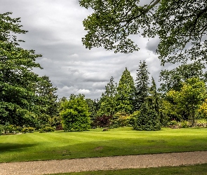 Ogród Garden Harlow Carr, Park, Anglia, Krzewy, Miejscowość Harrogate, Drzewa