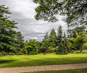 Anglia, Miejscowość Harrogate, Park, Ogród Garden Harlow Carr, Drzewa, Krzewy