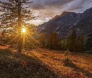 Promienie słońca, Austria, Góry Hochkonig, Salzburg, Drzewa