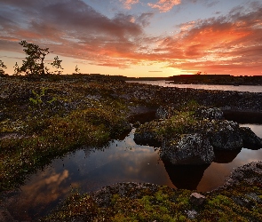 Drzewa, Jezioro Ładoga, Rosja, Chmury, Zachód słońca, Karelia, Kamienie
