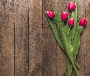 Tulipany, Deski, Tulipanów, Pięć, Kwiaty