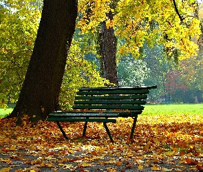 Jesień, Liście, Ławka, Park, Drzewa, Opadłe