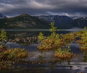 Obwód magadański, Kołyma, Góry Kołymskie, Rosja, Zachmurzone niebo, Jezioro Jack London, Drzewa