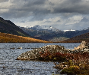 Roślinność, Skały, Góry Kołymskie, Jezioro Jack London, Rosja, Kołyma, Kaczki, Magadan, Kamienie