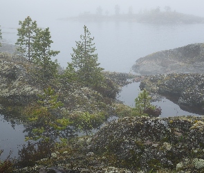 Rosja, Karelia, Skały, Mgła, Drzewa, Jezioro Siegoziero