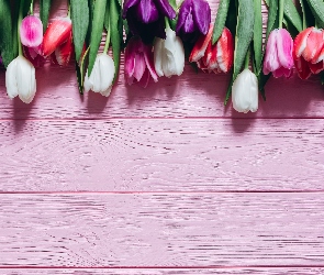 Kolorowe, Deski, Różowe, Tulipany, Kwiaty