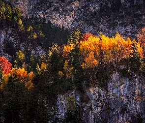 Góry, Jesień, Drzewa, Skały