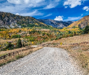 Góry San Juan, Kolorado, Stany Zjednoczone, Chmury, Droga, Las, Domy, Hrabstwo San Juan