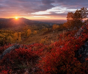 Drzewa, Zachód słońca, Góry Ałtaj, Rosja, Skały, Brzozy, Republika Ałtaju, Jesień