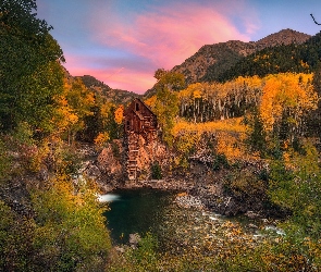  Stany Zjednoczone, Stan Kolorado, Drzewa, Młyn Crystal Mill, Jesień, Rzeka Crystal River