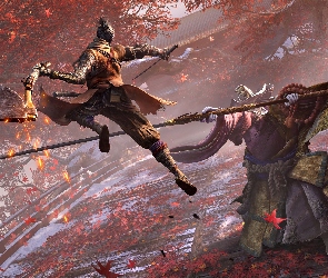 Dach, Wojownicy, Gra, Sekiro Shadows Die Twice