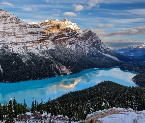 Kanada, Park Narodowy Banff, Zima, Jezioro Peyto Lake, Lasy, Góry Canadian Rockies