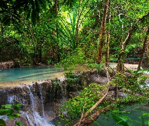 Prowincja Kanchanaburi, Park Narodowy Erawan, Wodospad Erawan waterfall, Tajlandia, Krzewy, Las, Drzewa