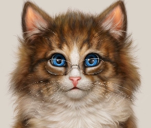Okulary, Spojrzenie, Oczy, Niebieskie, Kot