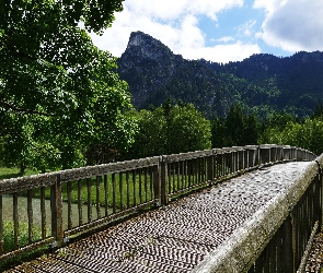 Most, Góry, Drzewa, Rzeka