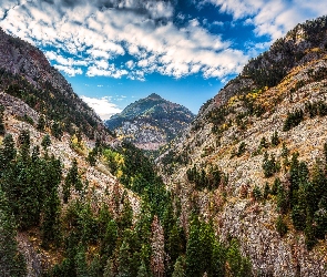 Stany Zjednoczone, Stan Kolorado, Szczyt Uncompahgre Peak, Góry San Juan Mountains, Drzewa, Chmury