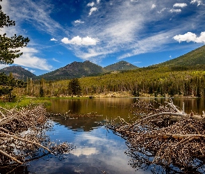 Jezioro Sprague Lake, Drzewa, Góry, Powalone, Stan Kolorado, Park Narodowy Gór Skalistych, Stany Zjednoczone, Chmury