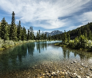 Kanada, Prowincja Alberta, Las, Jezioro Mount Lorette Ponds, Góry Canadian Rockies, Kananaskis Country