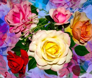 Grafika, Róże, Kolorowe, Kwiaty