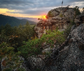 Kraj Ałtajski, Biełokuricha, Góry Ałtaj, Rosja, Wschód słońca, Skały, Drzewa