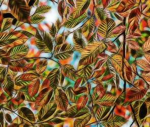 Grafika komputerowa, Fractalius, Kolorowe, Liście