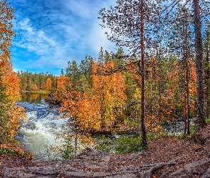 Jesień, Rzeka Kitkajoki, Finlandia, Park Narodowy Oulanka, Laponia, Drzewa