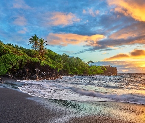 Wschód słońca, Roślinność, Wyspa Maui, Chmury, Palmy, Hawaje, Morze