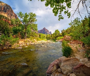 Stan Utah, Drzewa, Góry Watchman, Stany Zjednoczone, Kamienie, Park Narodowy Zion, Rzeka Virgin River