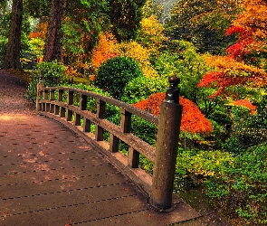 Jesień, Park, Mostek, Drzewa, Drewniany
