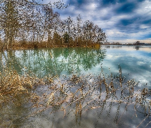 Drzewa, Odbicie, Trawy, Suche, Jezioro