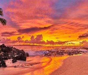 Chmury, Zachód słońca, Wyspa Maui, Hawaje, Ocean, Palmy