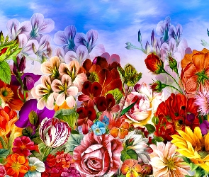 Grafika, Kwiaty, Różne, Kolorowe