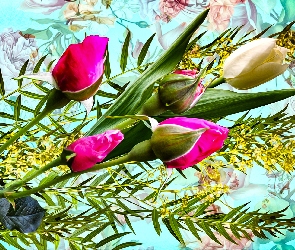 Kwiaty, Pąki, Róże, Tulipan