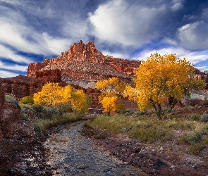 Skały, Drzewa, Góry, Rzeka Sulphur Creek, Utah, Park Narodowy Capitol Reef, Stany Zjednoczone, Jesień