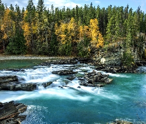 Kanada, Kolumbia Brytyjska, Drzewa, Rzeka Kicking Horse, Las, Skały